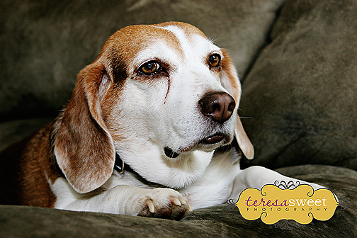 Monique & Jay 003 Monique & Jay 003